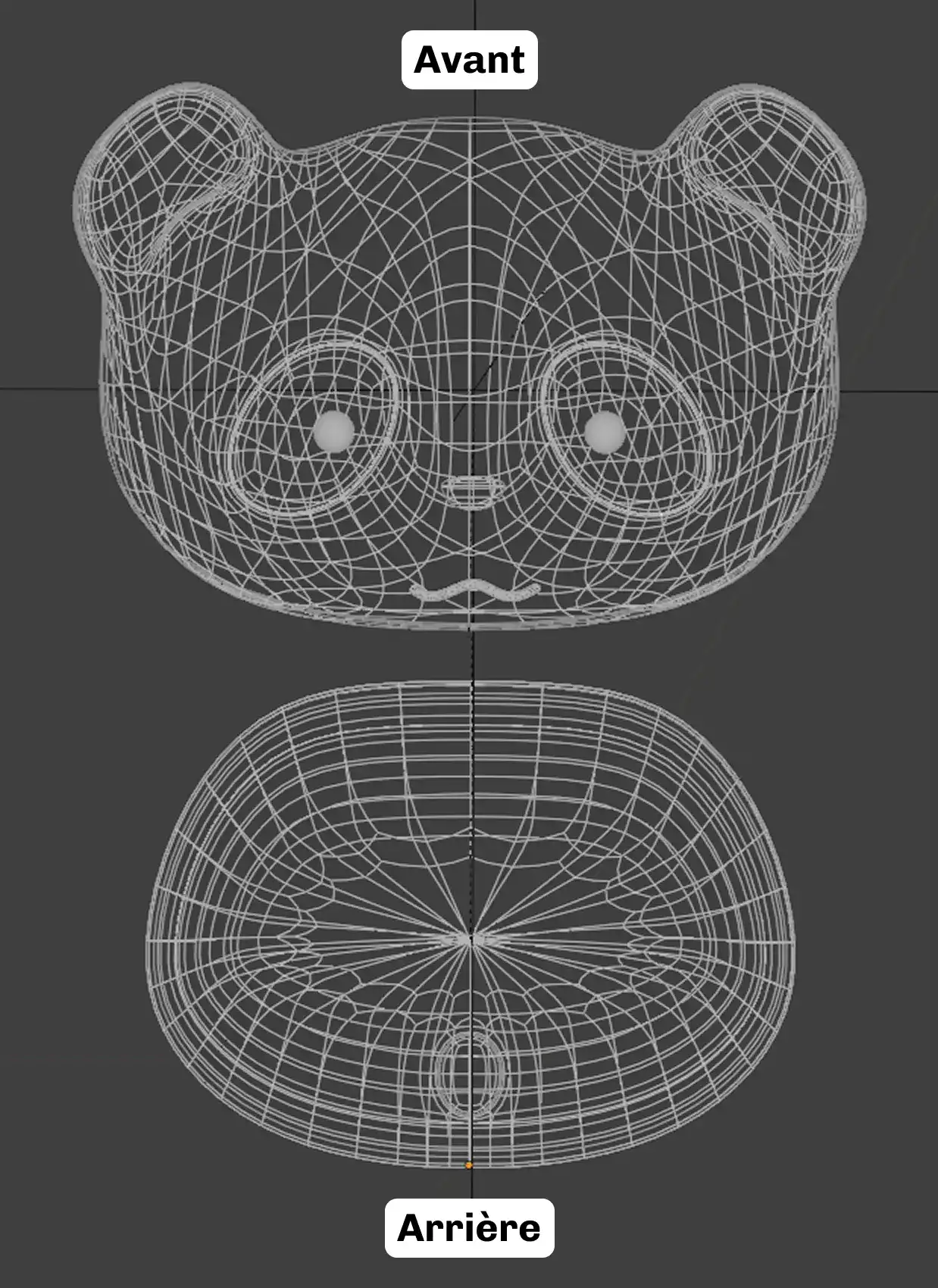 Maillage avant et arrière